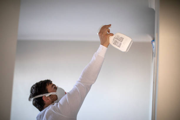 Best Certified Mold Removal  in Golden Valley, MN