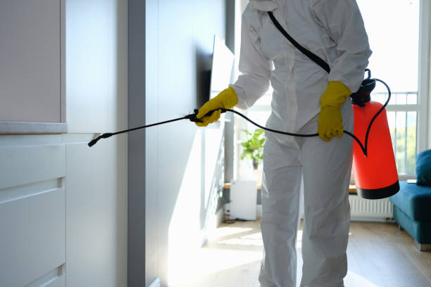 Best Crawl Space Mold Removal  in Golden Valley, MN
