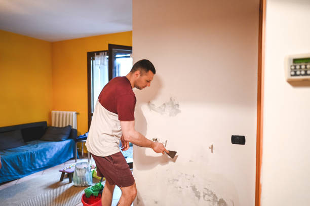 Mold Removal and Inspection in Golden Valley, MN